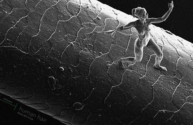 Bức tượng người phụ nữ khỏa thân là một trong những tác phẩm siêu nhỏ của ông Hurwitz, chỉ tương đương kích cỡ đầu của một con kiến và nhỏ hơn sợi tóc người. Ảnh: Solent News