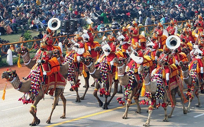 Đội quân lạc đà của lực lượng biên phòng Ấn Độ có nhiệm vụ bảo vệ biên giới thuộc vùng sa mạc giữa Ấn Độ và Pakistan. Trong ngày lễ Cộng hòa của Ấn Độ (26/1), lính biên phòng Ấn Độ cưỡi những con lạc đà diêm dúa để tham gia diễu binh ở trung tâm thủ đô Dehli.
