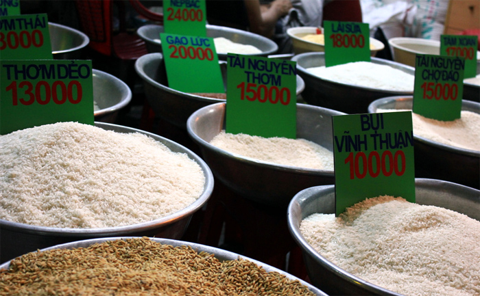Trong khi đó, Việt Nam đến giờ vẫn chưa chọn được giống lúa nào để xây dựng thương hiệu gạo quốc gia