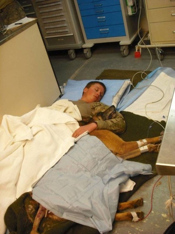Anh lính Ryan Lee và chú chó Valdo ôm nhau ngủ trên sàn bệnh viện sau khi may mắn thoát chết trong cuộc chiến ở Afghanistan vào năm 2011.